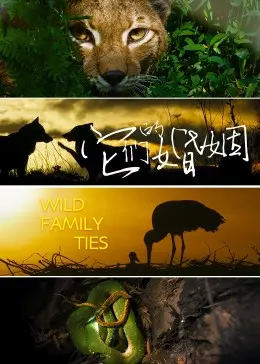 《它们的婚姻》：一场关于“欲望中毒”的婚姻悲歌，看完我只想说‘活该’！